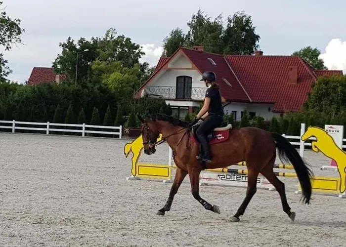 Szum Morza Sound Of Sea * Kołobrzeg